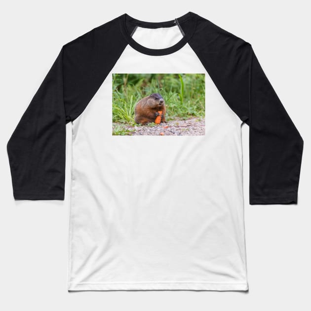 The Beaver feeding on a carrot Baseball T-Shirt by josefpittner